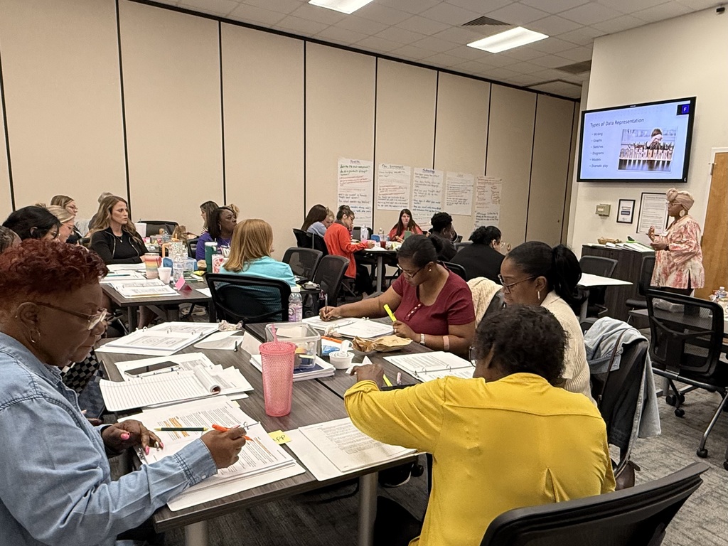 3D Mastery PD