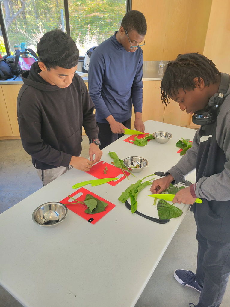 Three students stand at a table indoors, each chopping leafy vegetables on cutting boards.