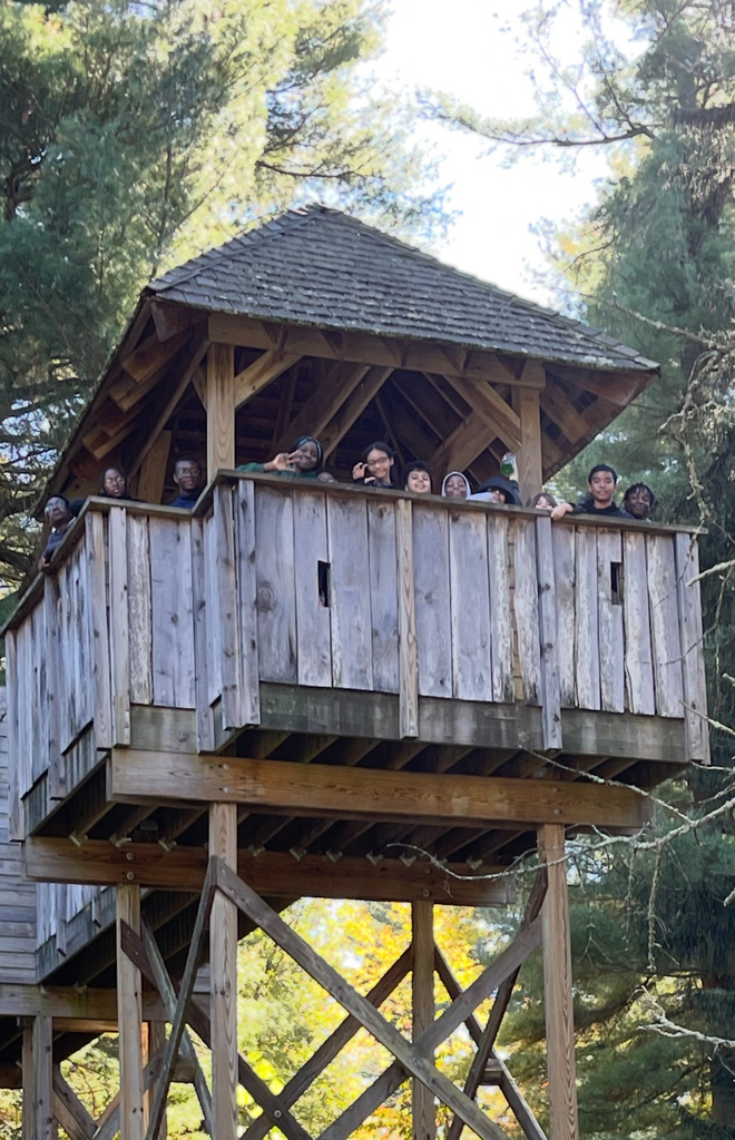A large group of students smile and lean over the railing of a tall wooden observation tower surrounded by trees.