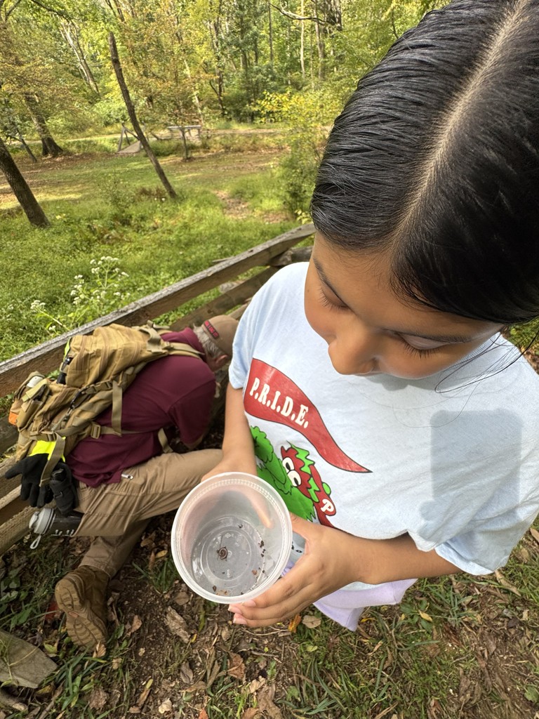 A student holds a clear plastic container with small insects inside while standing on a trail in a wooded area.