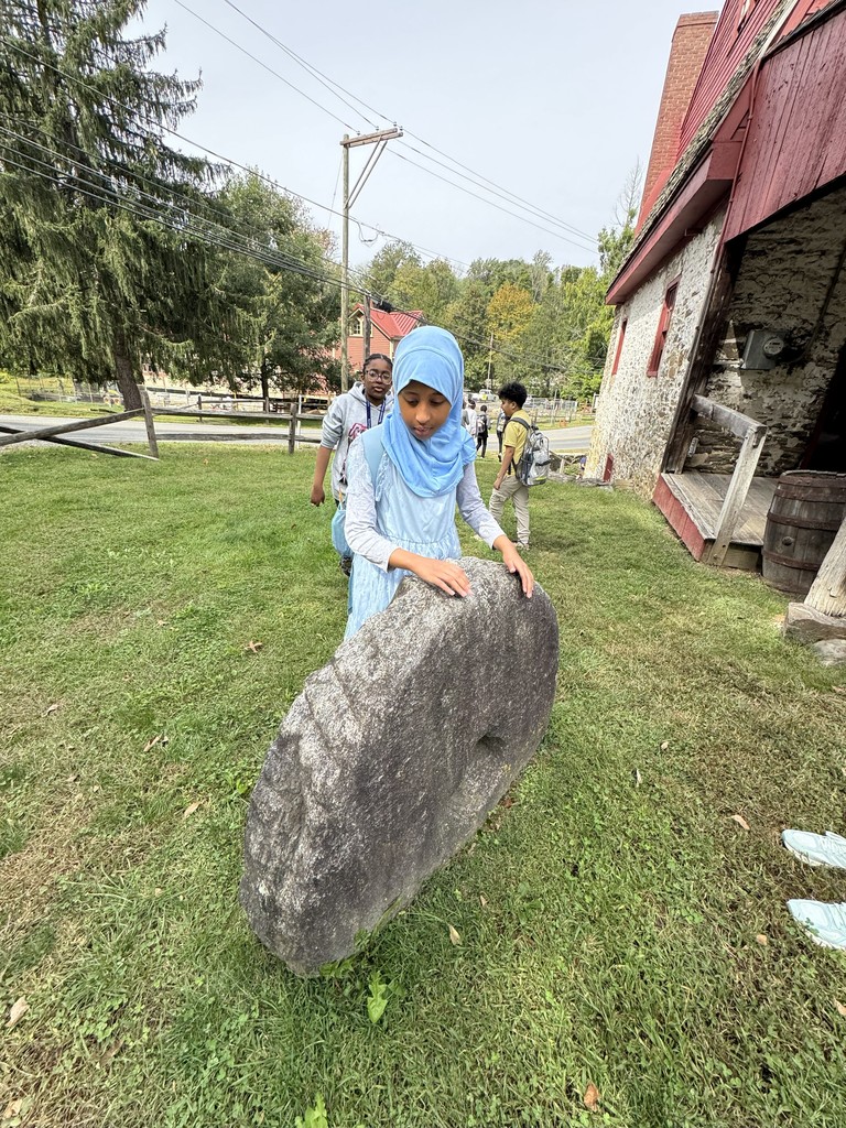 IMG_6106 - Gilda Schwalb