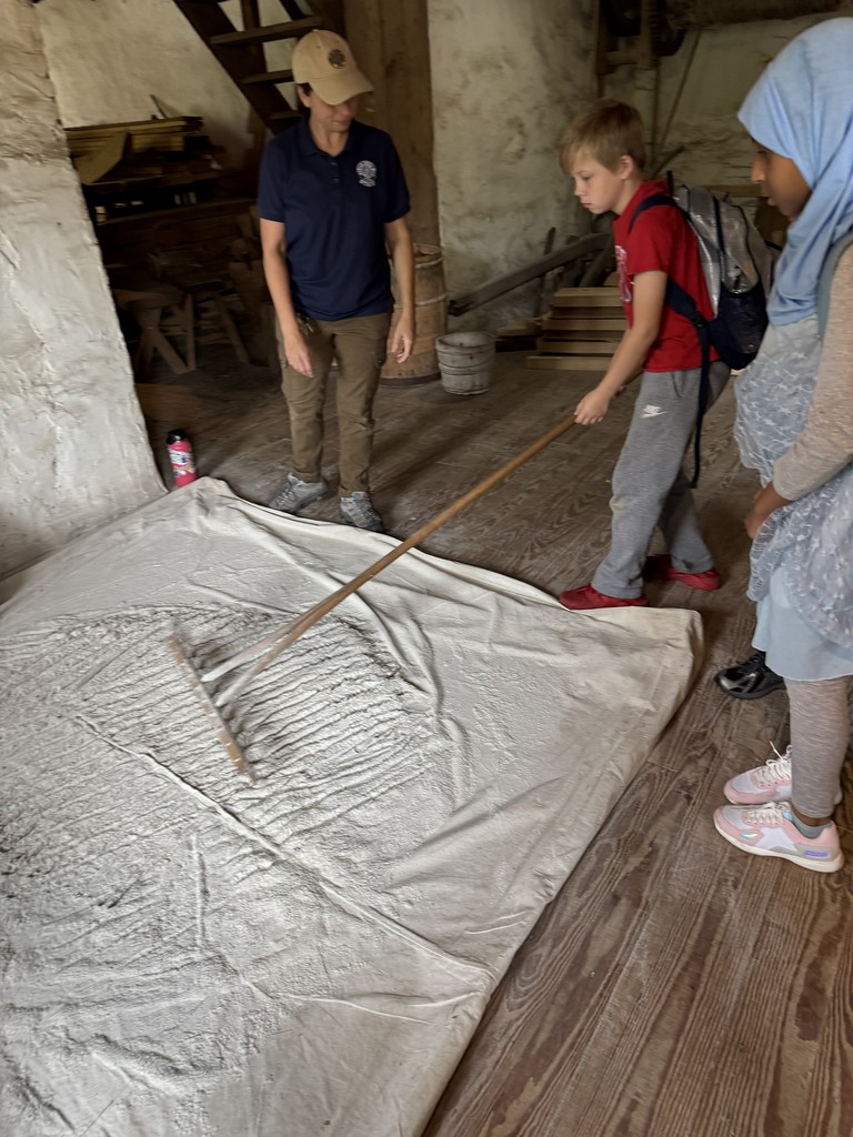 A student uses a long wooden tool to spread or sift flour on a large cloth inside an old mill building, while another student and an adult watch.