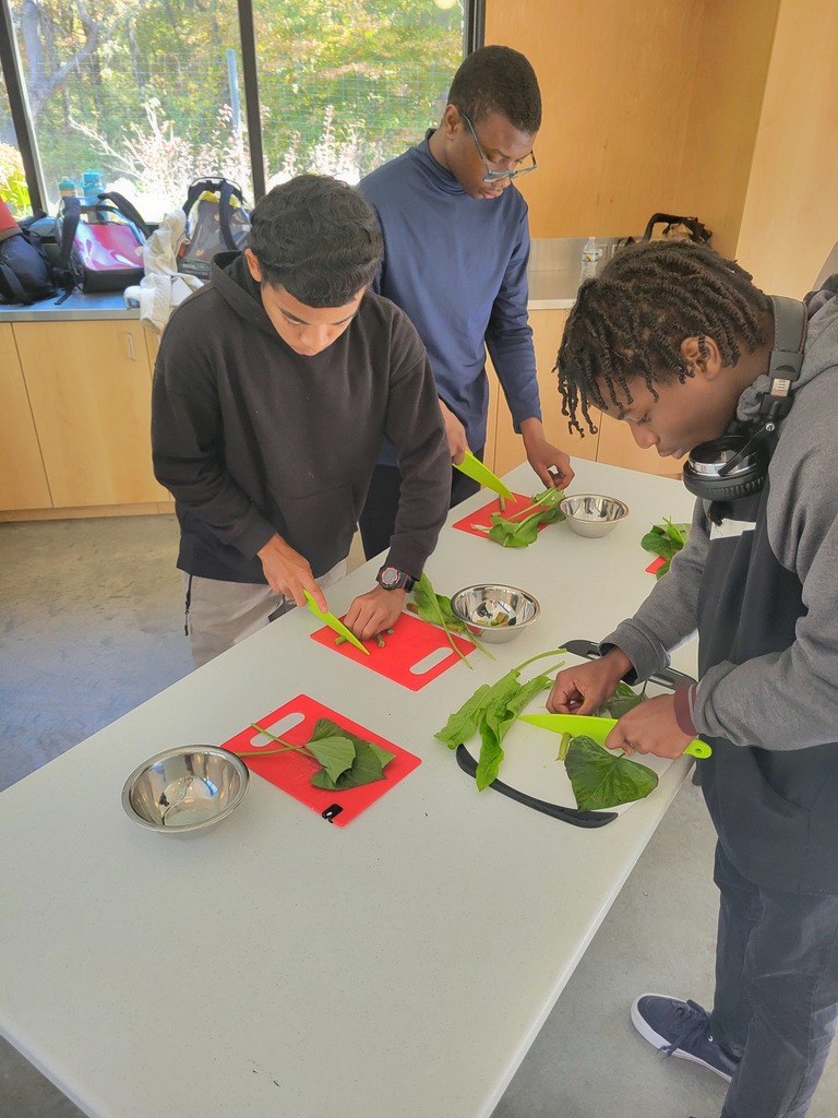 Three students stand side-by-side at a table indoors, chopping fresh green leaves on cutting boards.