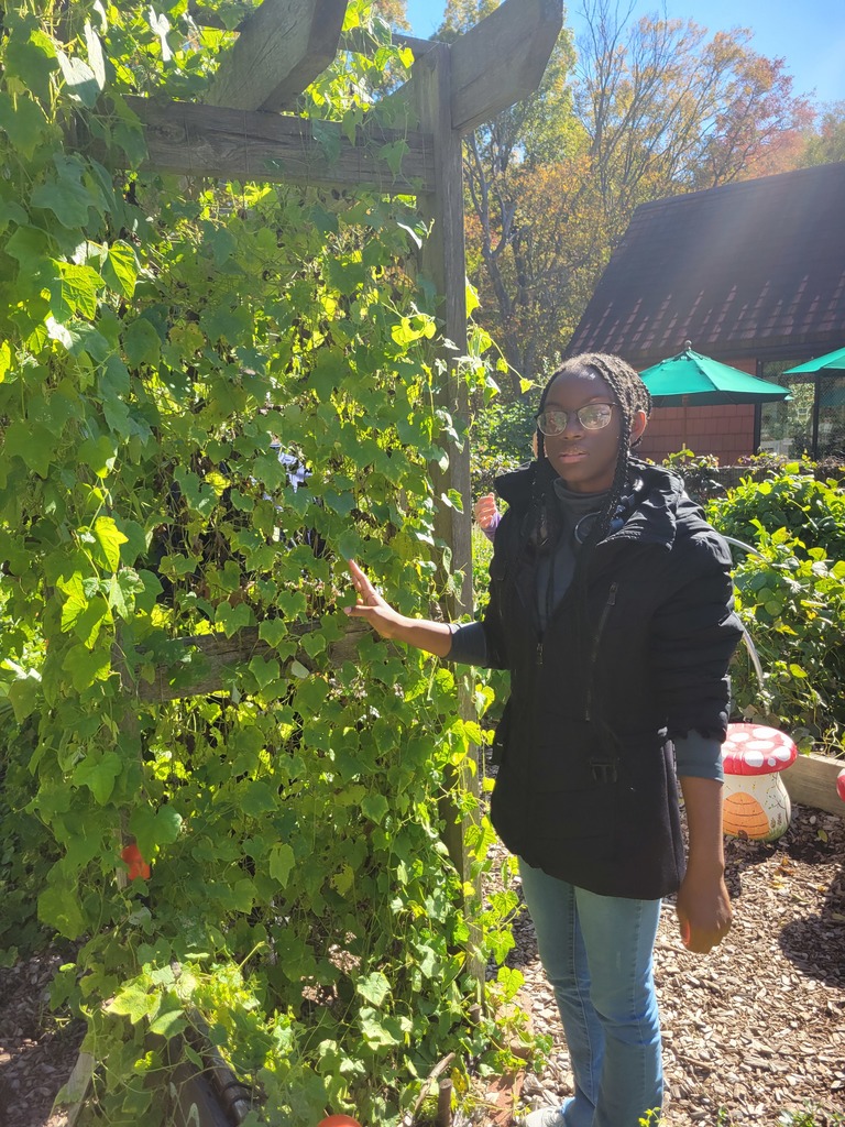 A student wearing glasses and a black jacket stands beside a vine-covered wooden arbor in a garden, gently touching the greenery.