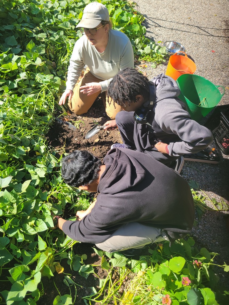 An instructor kneels in a garden bed, guiding two students who are digging into the soil surrounded by dense green plants.