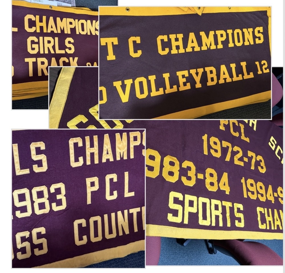 CHAMPION BANNERS