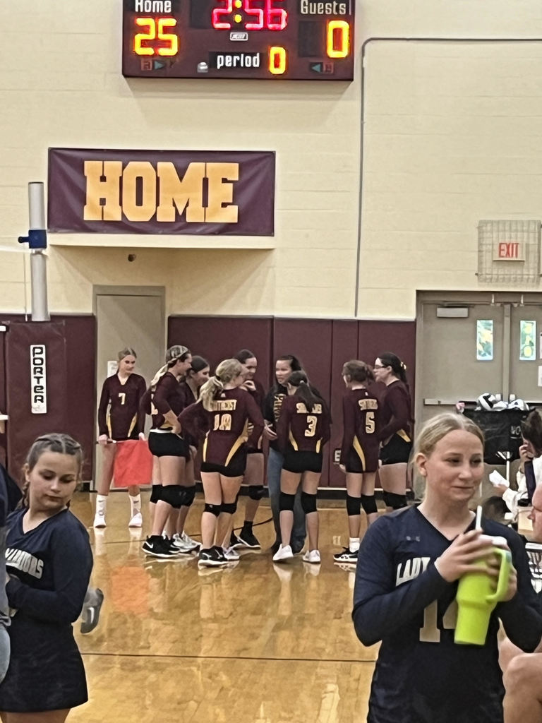 MS VB 2024