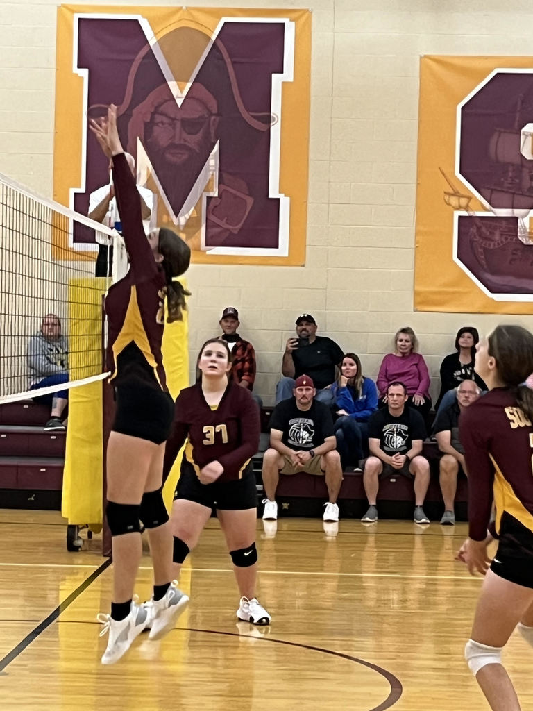 MS VB 2024