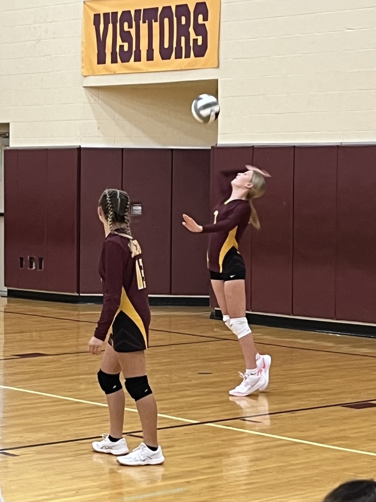 MS VB 2024