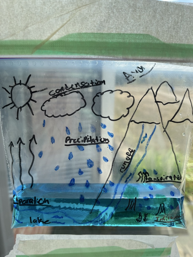 water cycle