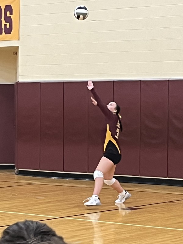 Volleyball