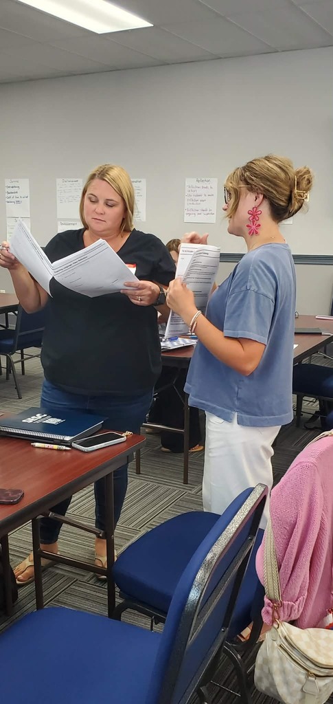 Teachers working together