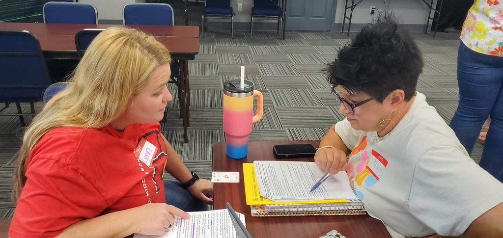 Teachers working together