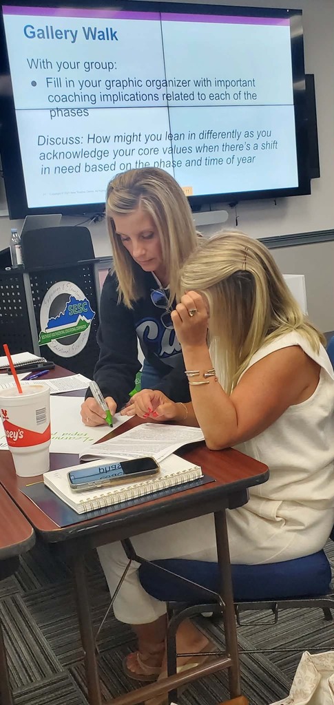 Teachers working together