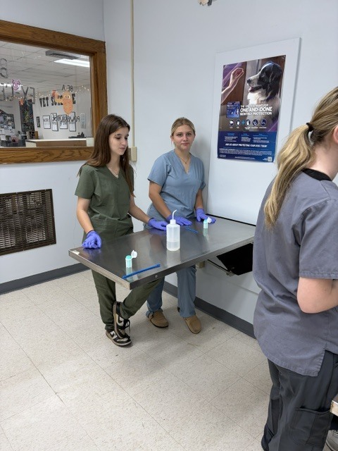 🔬🐾 Veterinary Science I in the Lab! 🐾🔬 Our Veterinary Science I students have been getting hands-on experience with some important diagnostic skills! This week, students learned how to properly set up fecal floats and collect urine samples. 🧪🐶🐱