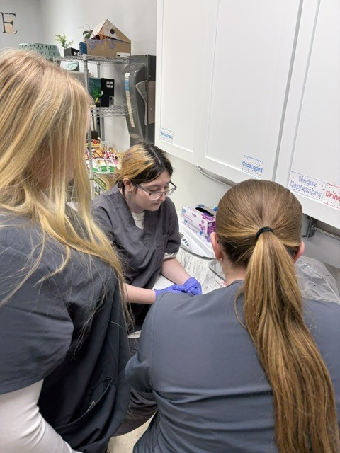 🔬🐾 Veterinary Science I in the Lab! 🐾🔬 Our Veterinary Science I students have been getting hands-on experience with some important diagnostic skills! This week, students learned how to properly set up fecal floats and collect urine samples. 🧪🐶🐱