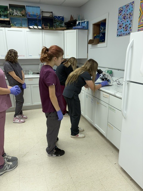 🔬🐾 Veterinary Science I in the Lab! 🐾🔬 Our Veterinary Science I students have been getting hands-on experience with some important diagnostic skills! This week, students learned how to properly set up fecal floats and collect urine samples. 🧪🐶🐱