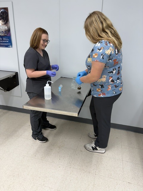 🔬🐾 Veterinary Science I in the Lab! 🐾🔬 Our Veterinary Science I students have been getting hands-on experience with some important diagnostic skills! This week, students learned how to properly set up fecal floats and collect urine samples. 🧪🐶🐱