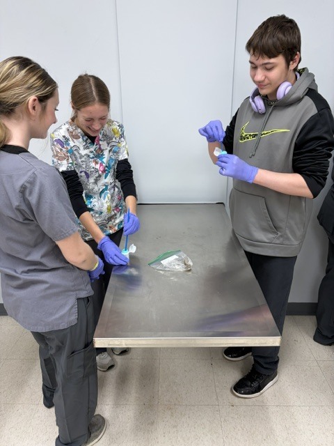🔬🐾 Veterinary Science I in the Lab! 🐾🔬 Our Veterinary Science I students have been getting hands-on experience with some important diagnostic skills! This week, students learned how to properly set up fecal floats and collect urine samples. 🧪🐶🐱