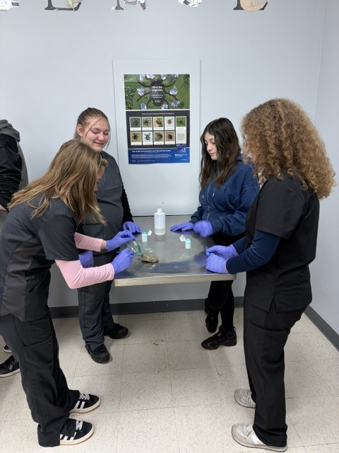 🔬🐾 Veterinary Science I in the Lab! 🐾🔬 Our Veterinary Science I students have been getting hands-on experience with some important diagnostic skills! This week, students learned how to properly set up fecal floats and collect urine samples. 🧪🐶🐱