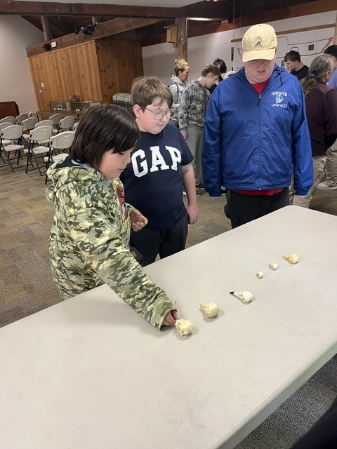 Students looking at bones