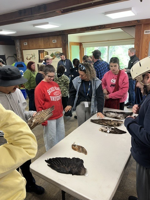 Students and teachers exploring the birds