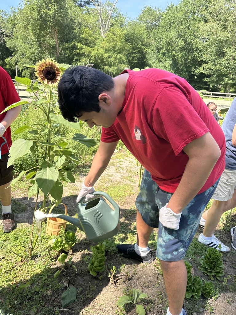 An outdoor photo shows a person in a bright red t-shirt, blue and green tie-dye shorts, and white gloves bending down to water leafy green garden plants with a green watering can. To their left stands a tall sunflower plant with a large, blooming brown and yellow flower head and broad green leaves. Another person wearing a red shirt and dark shorts is partially visible on the far left, while additional people stand in the background to the right. The garden bed is set against a backdrop of dense green trees under a clear, sunny sky.