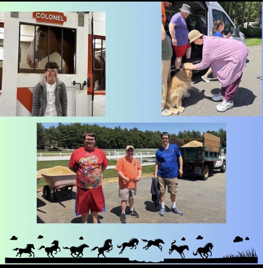 The image contains a collage of three different outdoor scenes featuring groups of people and animals, set against a light blue and green gradient background with a silhouette of running horses at the bottom.Top Left PanelSubject: A person wearing glasses and a grey zip-up hoodie smiles in front of a white stable door.Background: A brown horse looks out through the open top window of the stable.Detail: A red sign above the window reads "COLONEL".Top Right PanelSubject: A person in a pink cardigan and maroon pants bends over to pet a golden retriever dog.Background: Several other people are gathered next to a white passenger van on a paved area.Bottom PanelSubject: Three individuals stand side-by-side outdoors on a sunny day.Details:The person on the left wears a bright red "Froot Loops" t-shirt and red shorts.The person in the middle wears an orange t-shirt and khaki shorts.The person on the right wears a textured blue t-shirt and khaki shorts.Background: A white fenced horse pasture, trees, a wheelbarrow filled with feed, and a green dump truck loaded with dirt or gravel.Decorative BorderBottom Edge: A black silhouette depicts a herd of horses running across a field with scattered clouds and grass details.