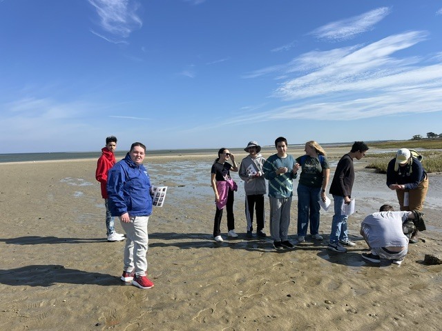 A group of students and teachers on the beach exploring nature 