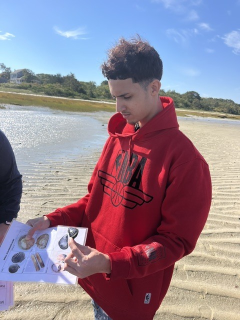 A student in a red sweatshirt identifying shells on a worksheet on the beach