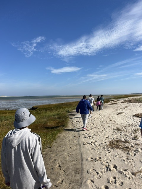Students walking in a line down the beach exploring the nature