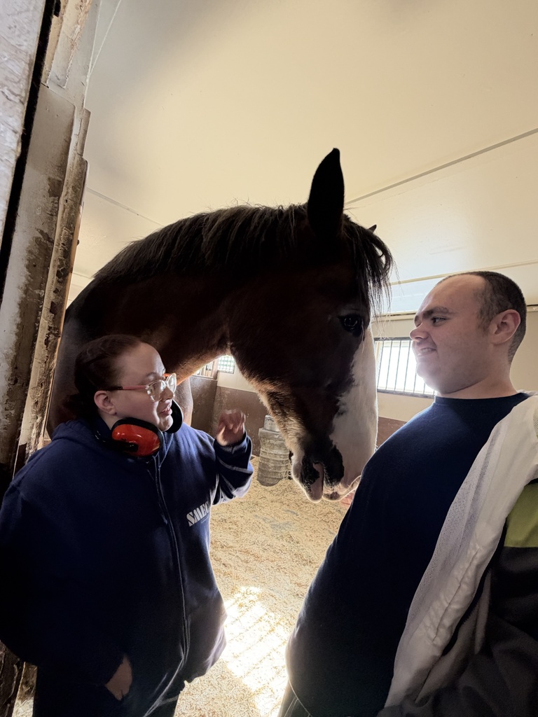A woman and man standing next to a horse 
