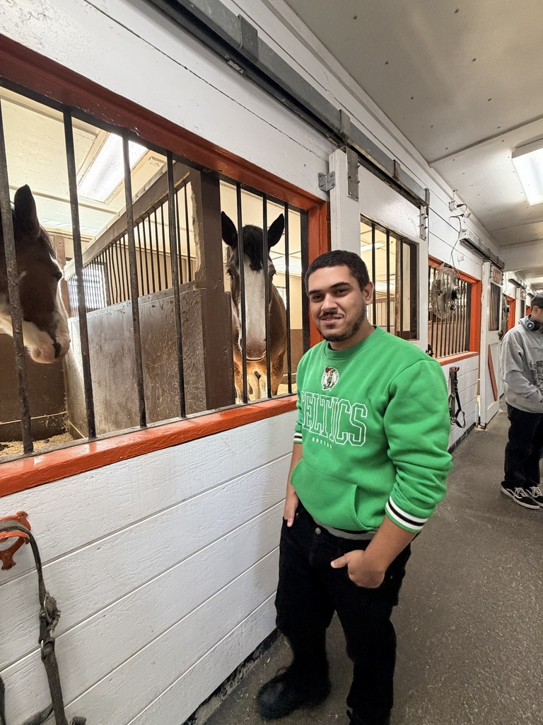 A man standing near a horse stall with 2 horses 