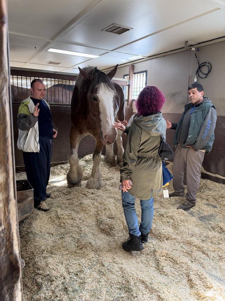 A woman and two men stand near a horse. One man has his hand raised as if asking a question.