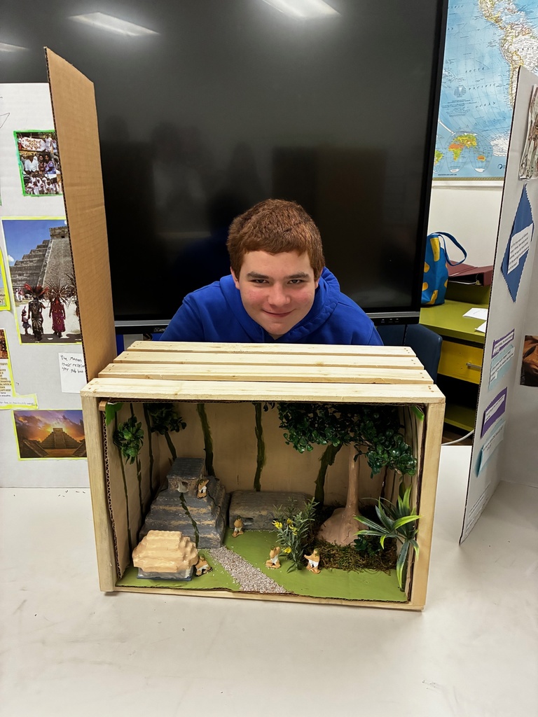 displays