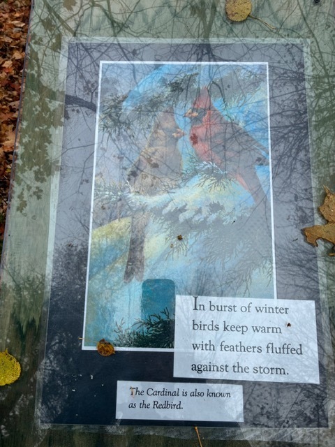 storybook trail