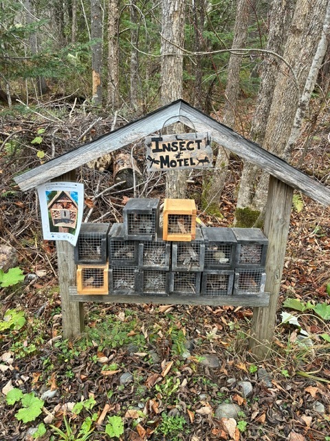 storybook trail