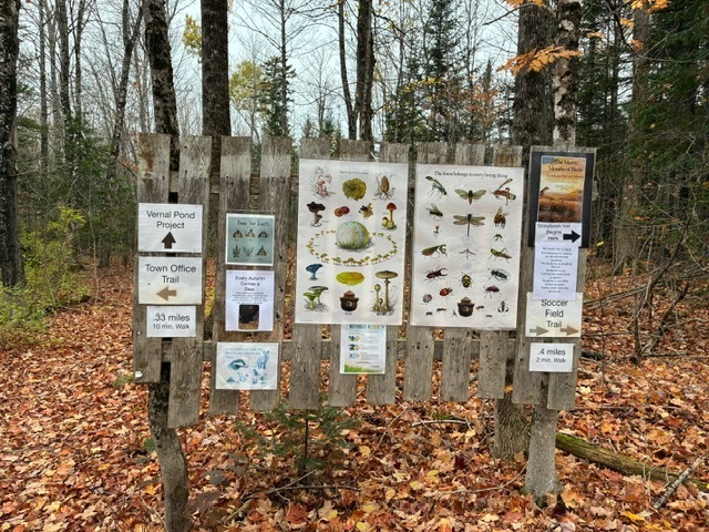 storybook trail