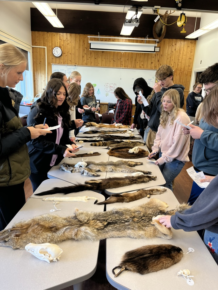 students took a quiz on identifying various mammals and ducks  