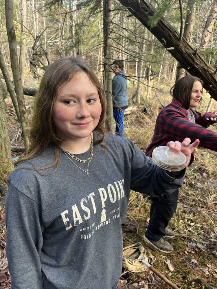 students caught tadpoles, dragon fly larva, snails, silver shiner, and other creepy crawly bugs 🐛 