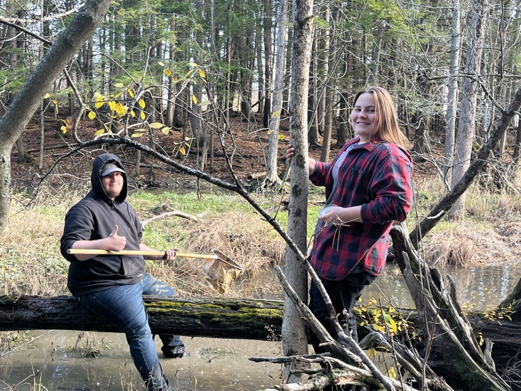 Getting right in the bog