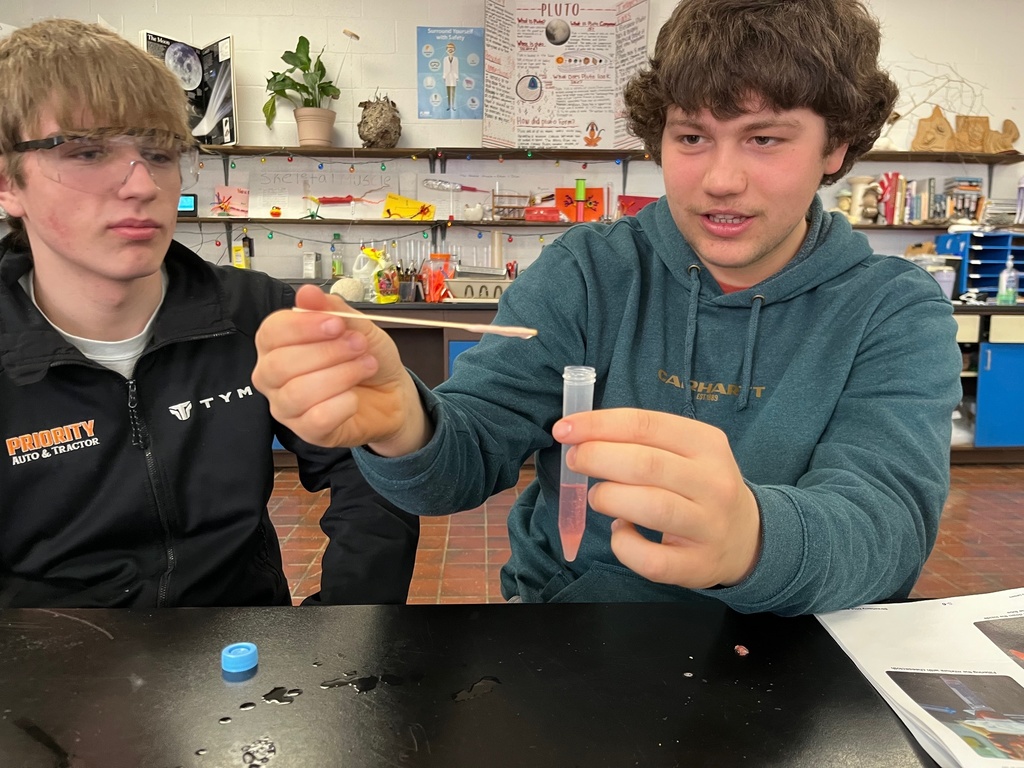 strawberry dna extraction