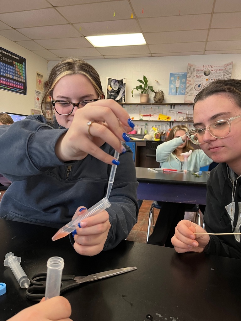 strawberry dna extraction