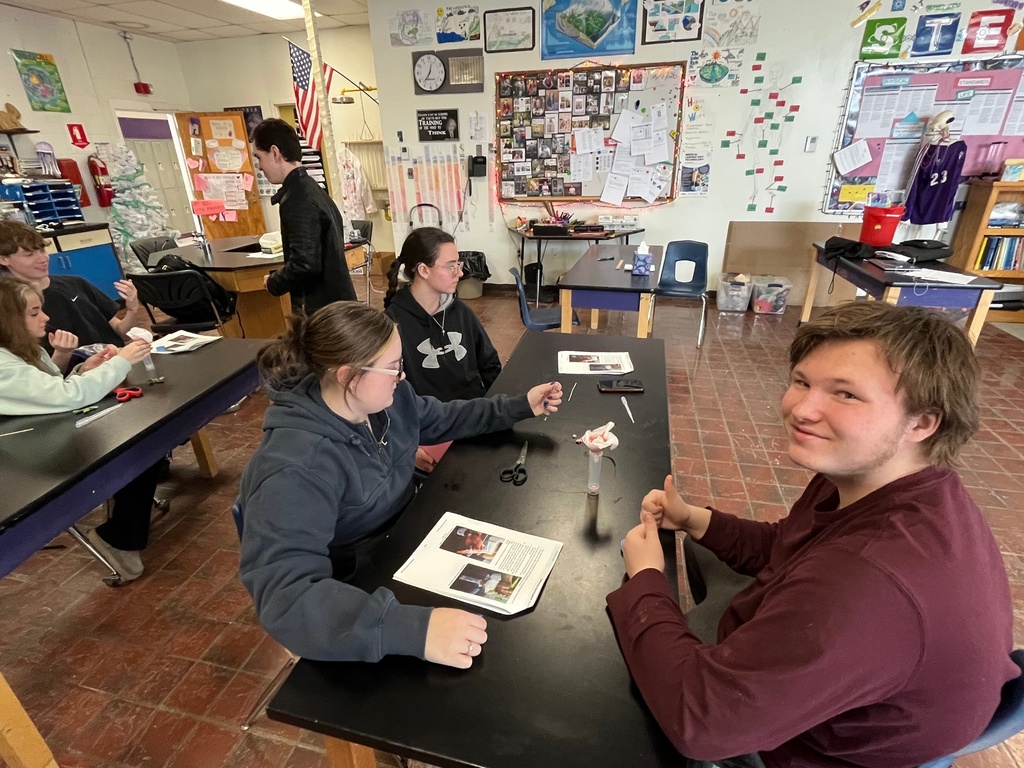 strawberry dna extraction