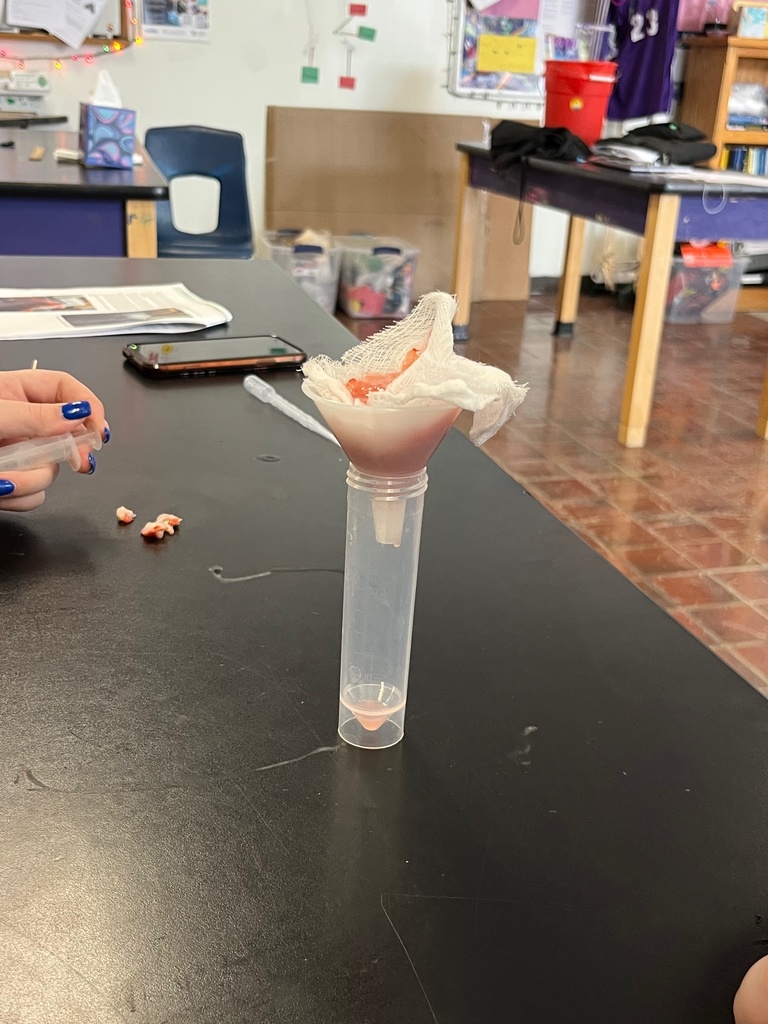 strawberry dna extraction