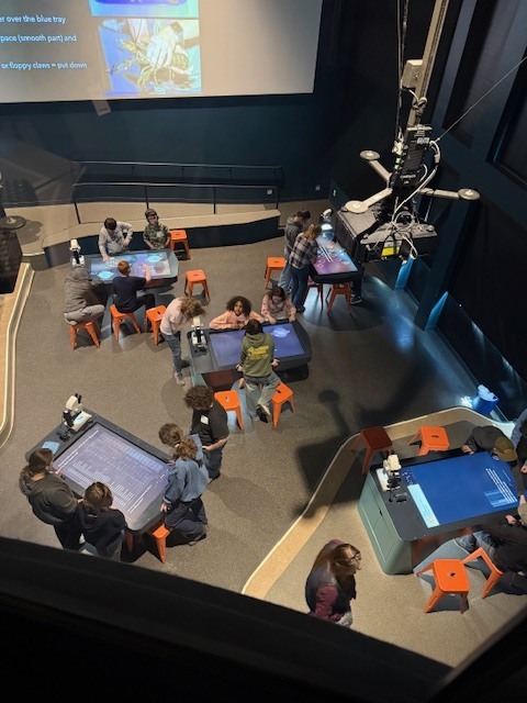 gulf of maine research institute