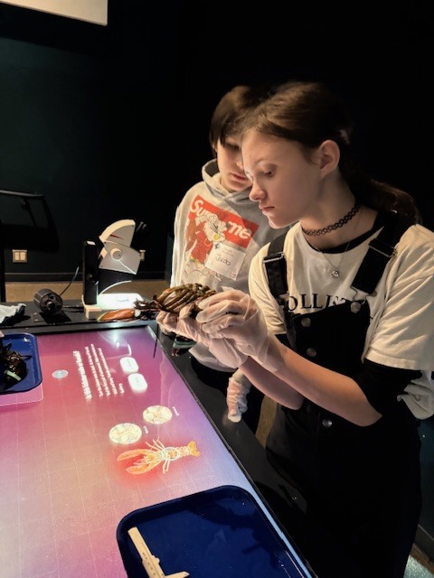 gulf of maine research institute