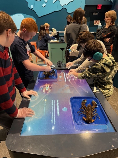 gulf of maine research institute