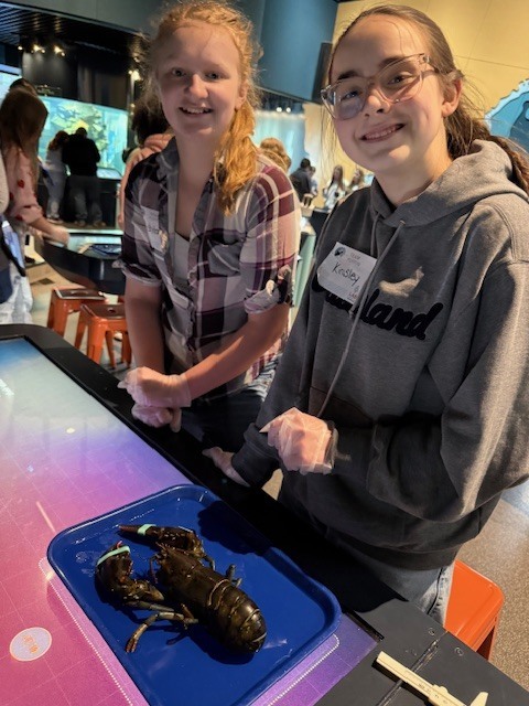 gulf of maine research institute