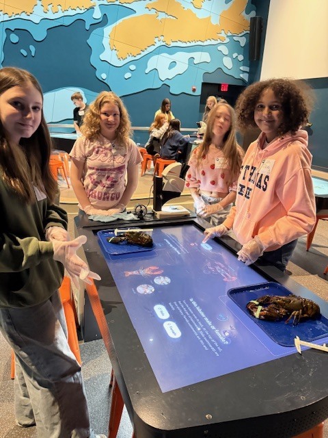 gulf of maine research institute